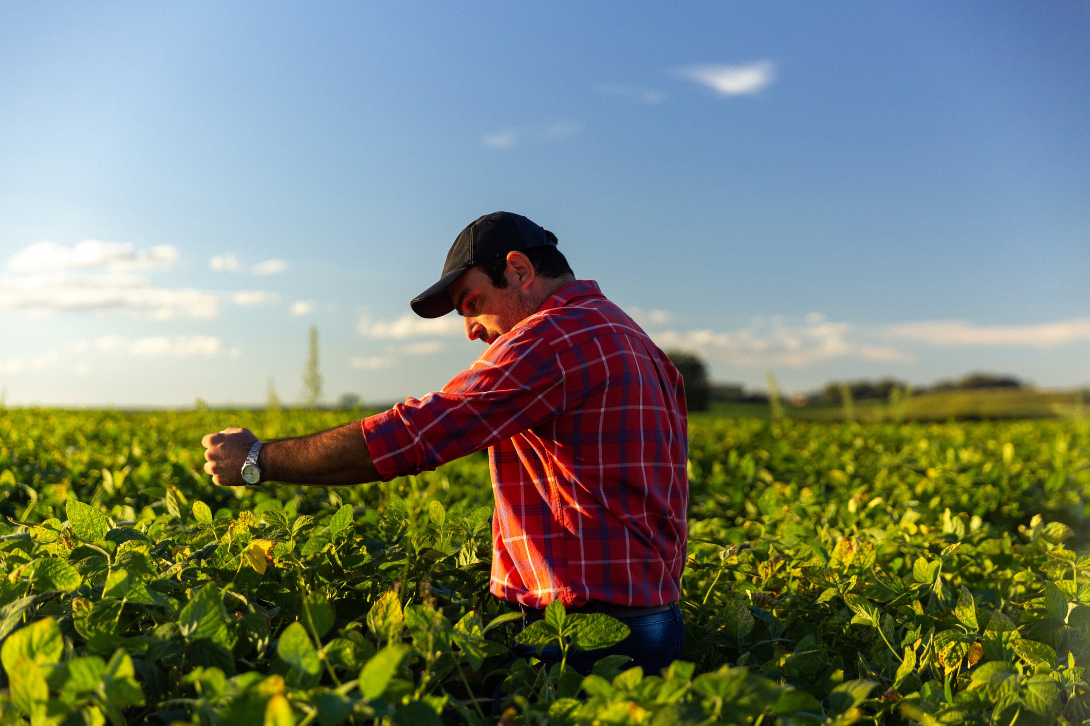 Garden_Gourmet_Nachhaltigkeit