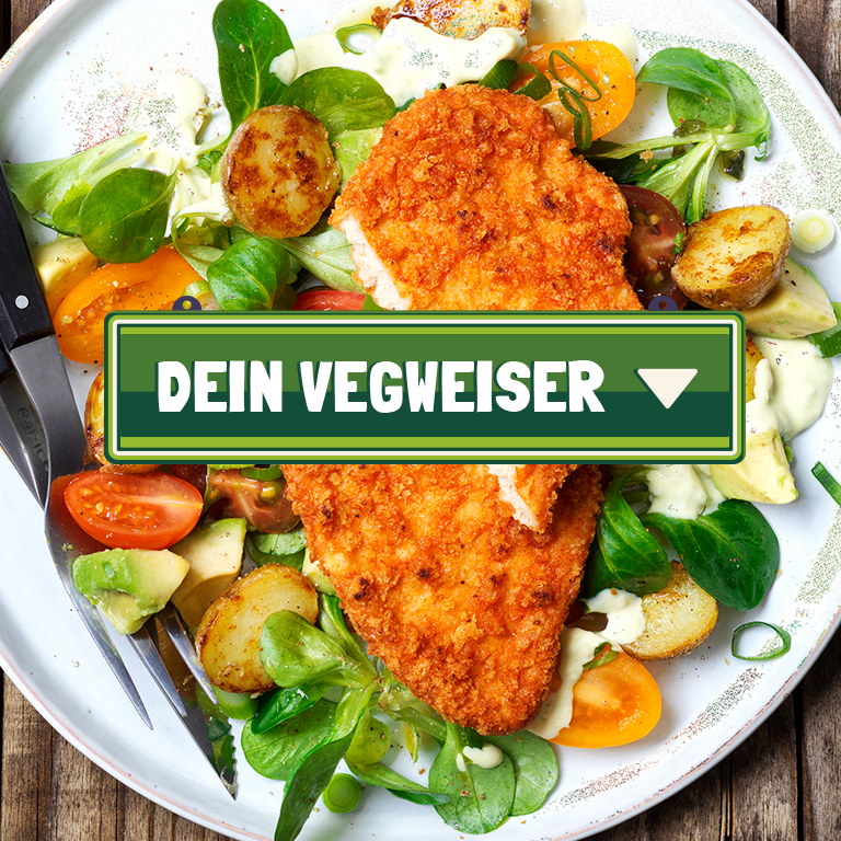 Vegweiser_Moble_Header