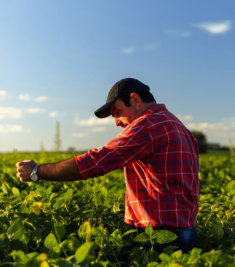 Garden_Gourmet_Nachhaltigkeit_Header_mobile