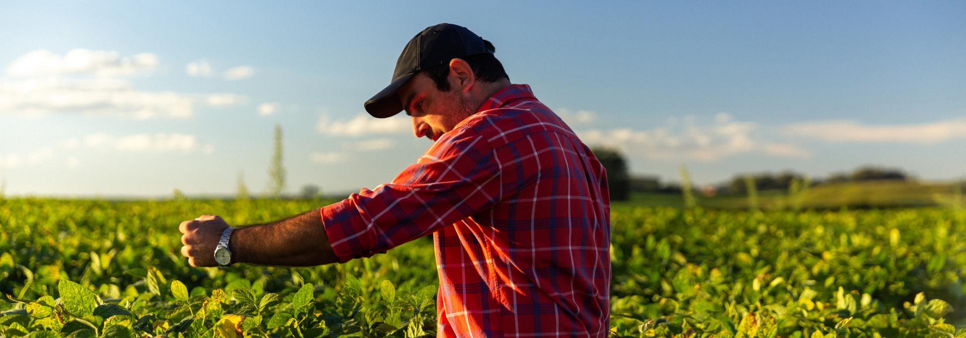 Garden_Gourmet_Nachhaltigkeit